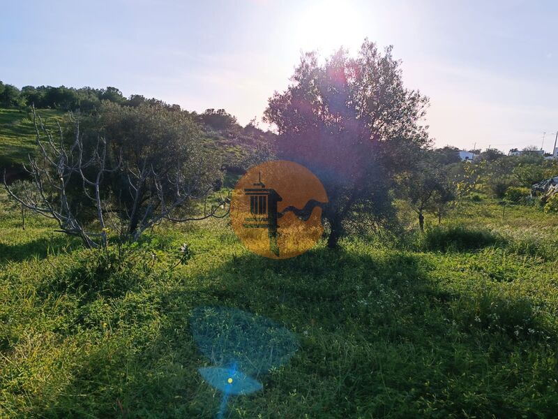 Terreno Agrícola plano Piçarral Azinhal Castro Marim - bons acessos, excelente vista, água, electricidade