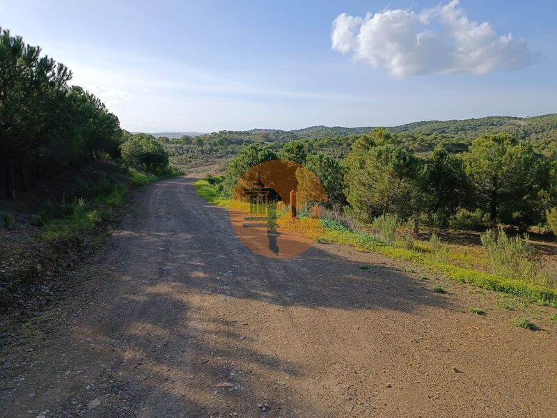 Land with 42480sqm Beliche Castro Marim - ,