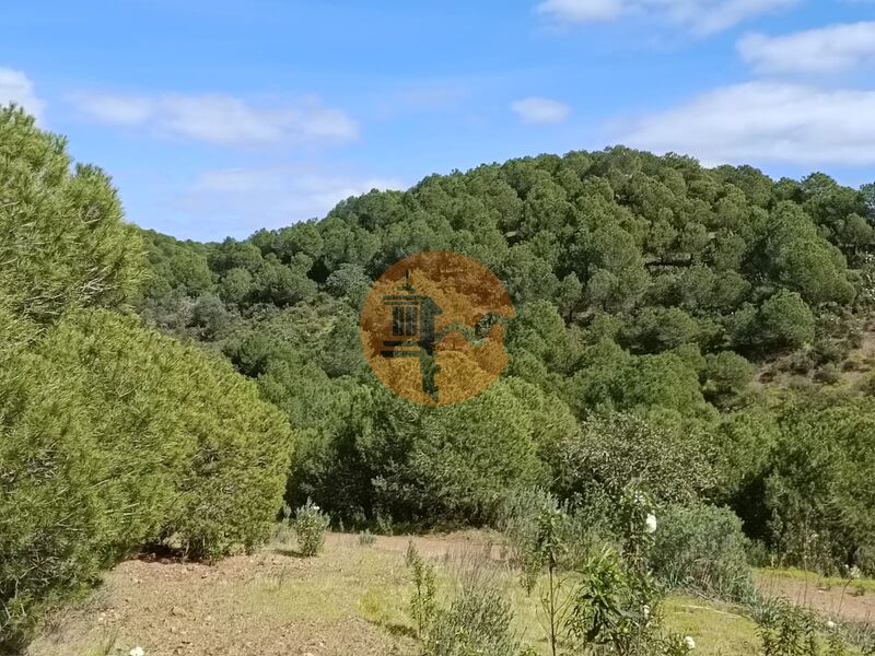 Land Agricultural with 87920sqm Sentinela Azinhal Castro Marim - great view, easy access