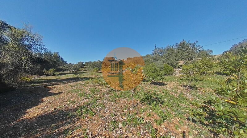 -210245259_ID479d6801-0000-0500-0000-000015b7f515.jpg