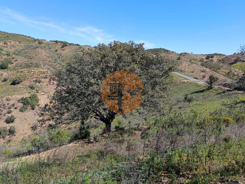 Terreno Agrícola com 43560m2 Alta Mora Odeleite Castro Marim - bons acessos