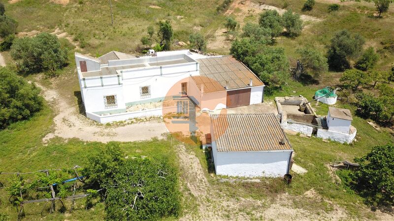 House V2 to recover Olhão