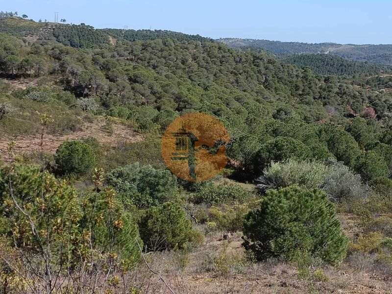 Land nouvel with 19040sqm Vale do Pereiro Odeleite Castro Marim - easy access, great view