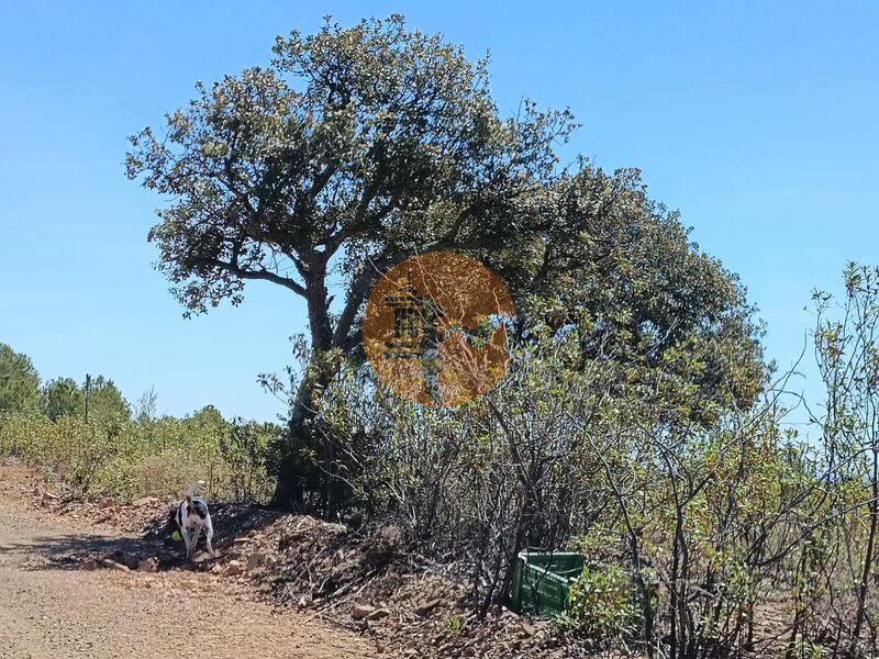 Terreno novo com 4520m2 Corte do Gago Azinhal Castro Marim - bons acessos, excelente vista