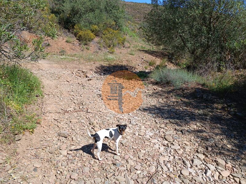 Land Rustic with 22760sqm Odeleite Castro Marim - well, water