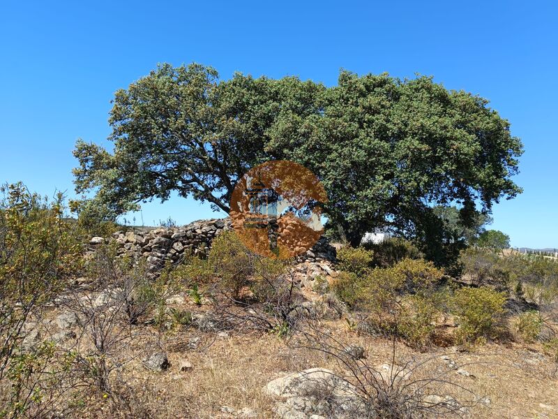 Terreno novo com 3280m2 Choça Queimada Odeleite Castro Marim - água, bons acessos, electricidade