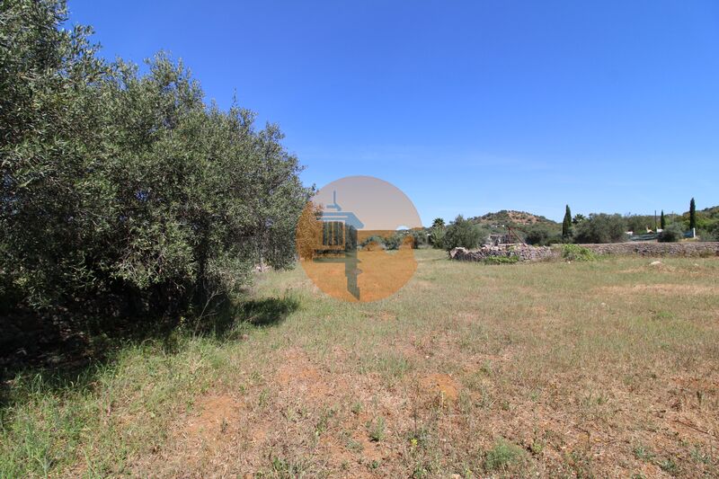 Land Rustic flat Azinhal e Amendoeira Faro - electricity, olive trees, tank