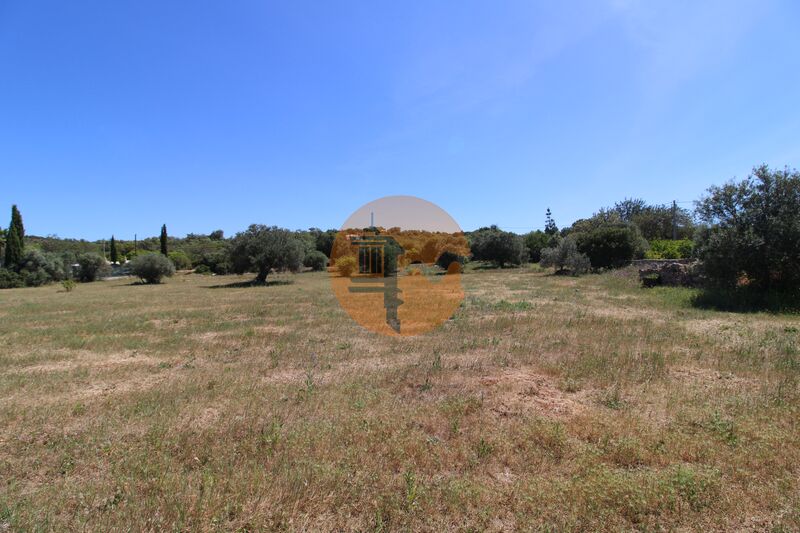 Land Rustic flat Azinhal e Amendoeira Faro - electricity, olive trees, tank