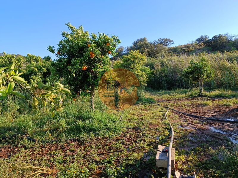 Land neue with 4880sqm Rio Seco Castro Marim - well, water, easy access, orange trees, fruit trees