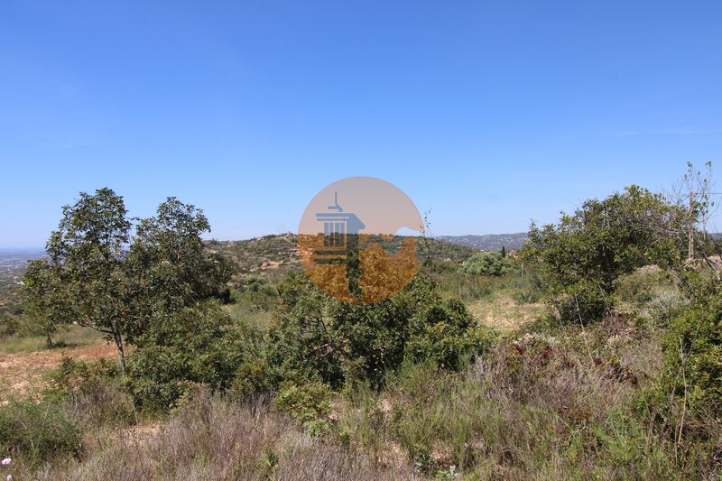 Terreno Rústico com 880m2 Cerro de São Miguel Faro - electricidade, zona muito calma, vista serra