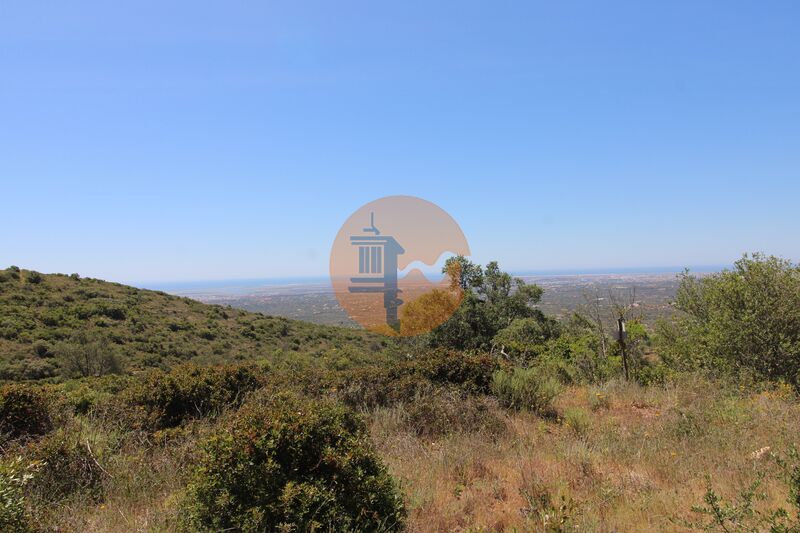 Land Rustic with 880sqm Cerro de São Miguel Faro - electricity, very quiet area, mountain view
