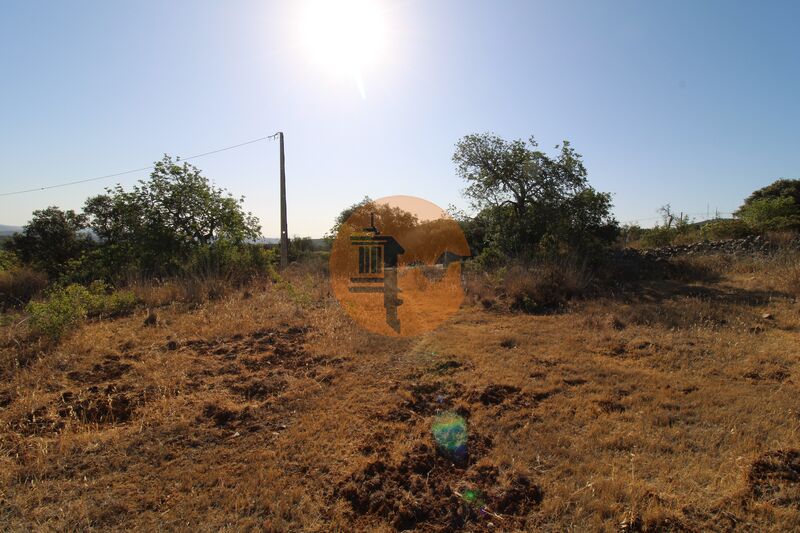 Terreno Agrícola com 2480m2 Faro - cultura arvense