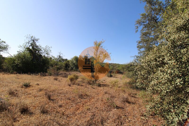 Terreno plano Alcaria Cova Faro - cultura arvense, água, electricidade