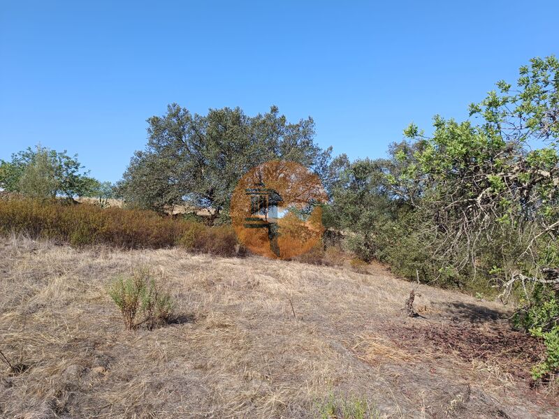 Terreno novo com 7200m2 Centro Azinhal Castro Marim - electricidade