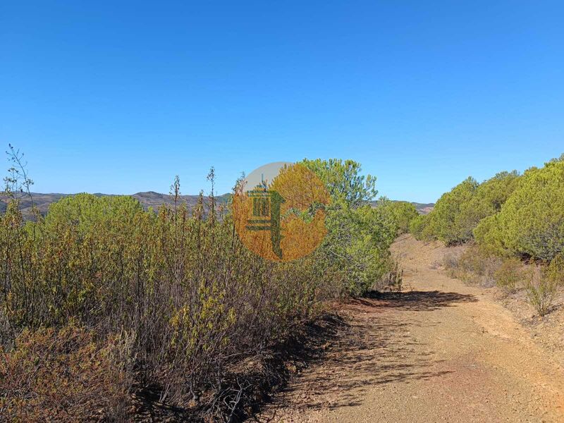 Land Agricultural with 137480sqm Vaqueiros Alcoutim - great view, electricity