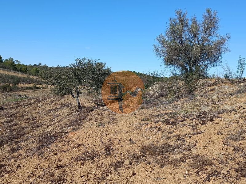 Land nieuw with 57320sqm Vale do Pereiro Odeleite Castro Marim - water, easy access, great view