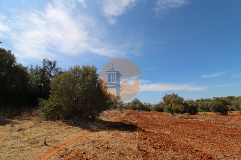 Terreno Rústico com 4600m2 Vale D' Éguas Almancil Loulé