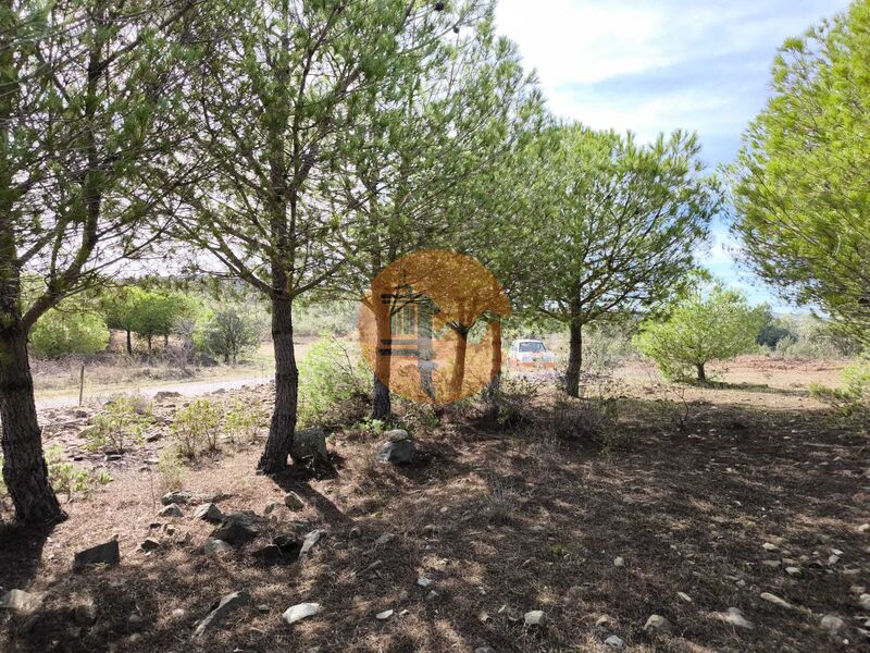 Terreno novo com 16000m2 Torneiro Alcoutim - electricidade