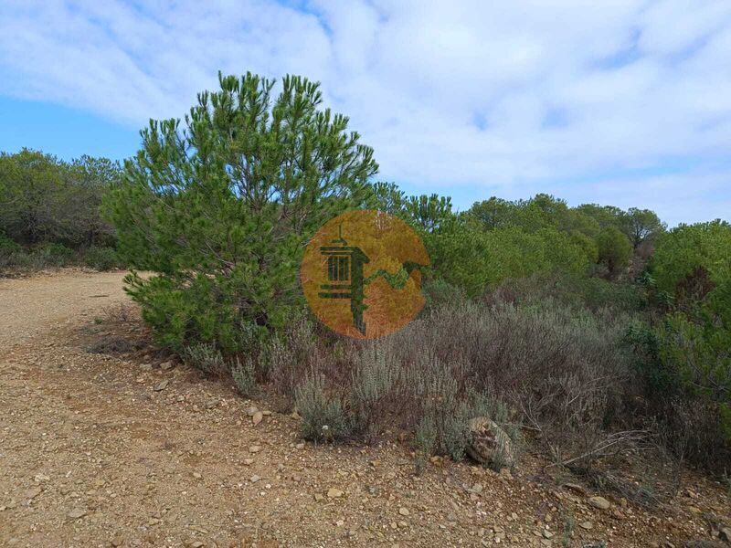 Land new with 129680sqm Palmeira Alcoutim - water, easy access