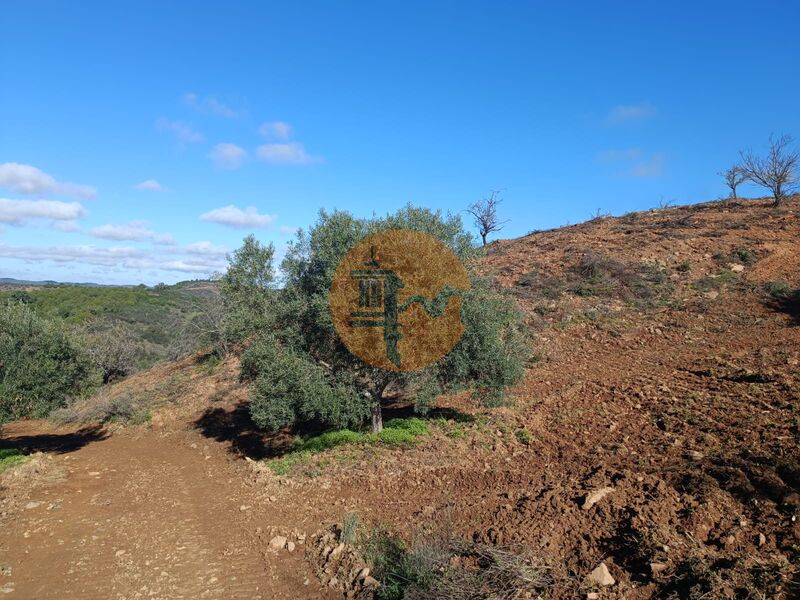 Land Agricultural with 31200sqm Fernão Gil Odeleite Castro Marim - olive trees, electricity, water, easy access