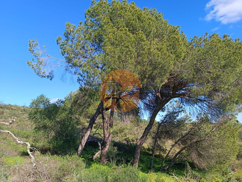 Terreno novo com 21720m2 Piçarral Azinhal Castro Marim - água