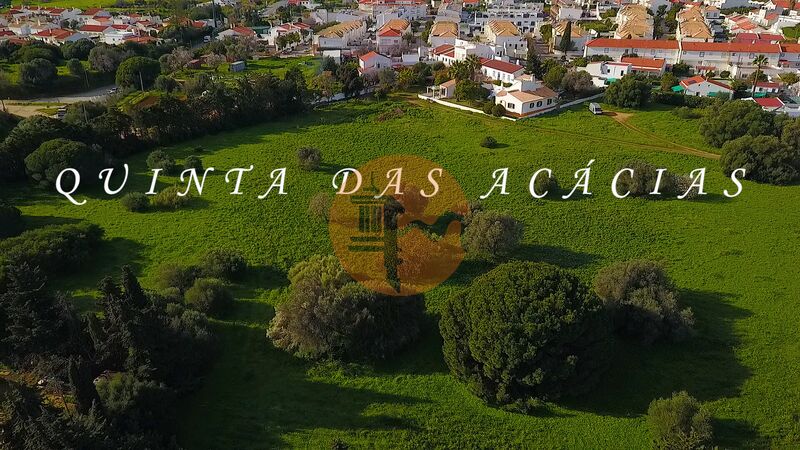 Moradia V4 Renovada Vila Nova de Cacela Vila Real de Santo António - lareira, jardim