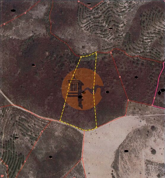 земля загородный c 6920m2 Azinhal Castro Marim - оливковые деревья