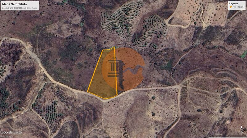 Land Rustic with 6920sqm Azinhal Castro Marim - olive trees