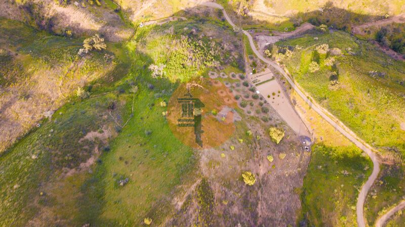 Terreno Rústico com 14600m2 Azinhal Castro Marim - oliveiras