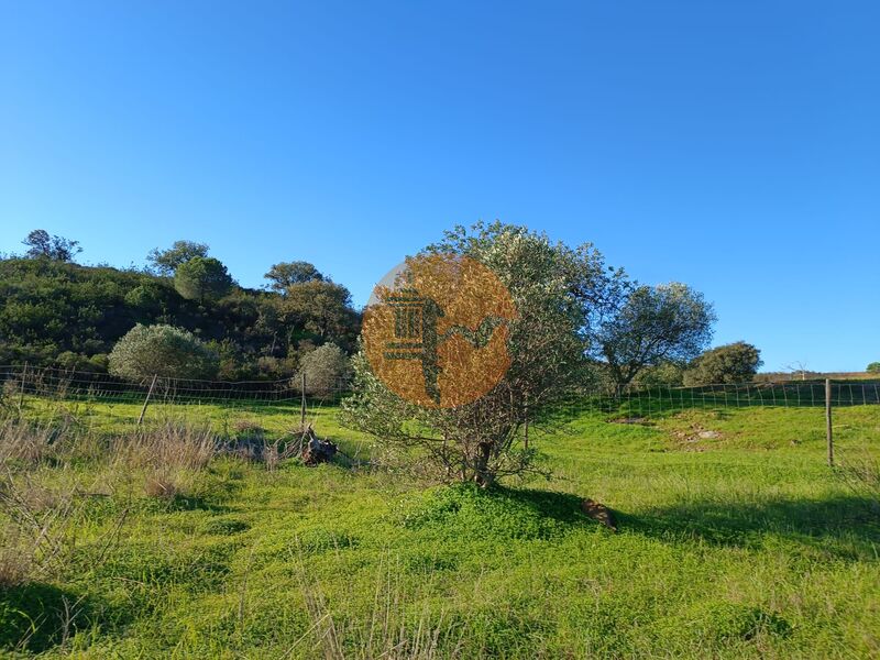 Land nouvel with 12180sqm Pedra Arrancada Altura Castro Marim - water, water hole