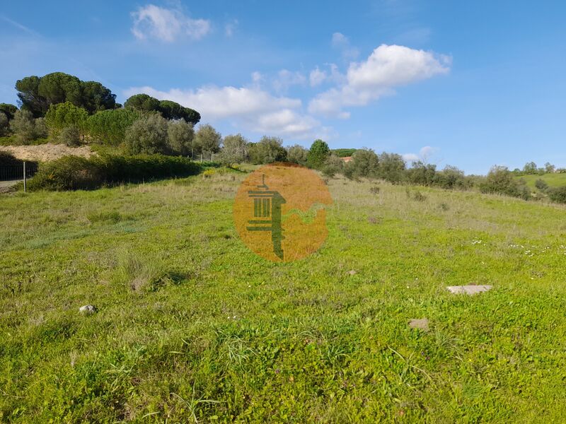 Land with 15000sqm Rio Maior