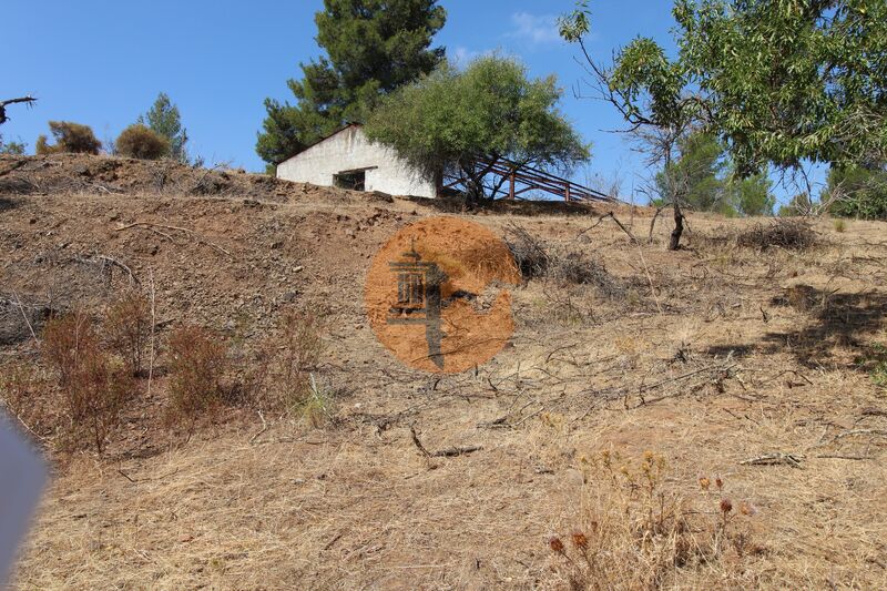 Farm Azinhal Castro Marim