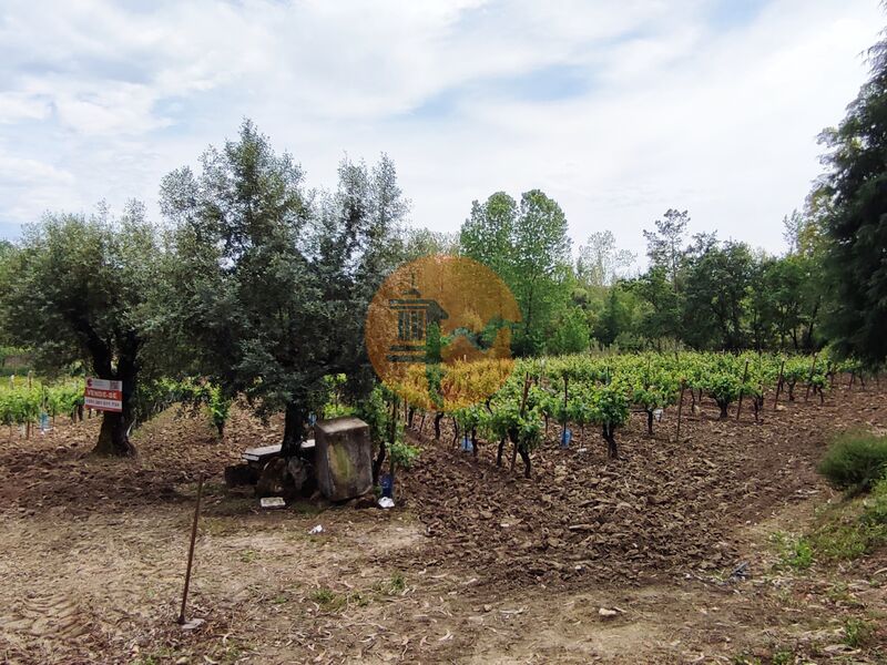 Terreno Agrícola com 11343m2 Casal Comba Mealhada - água