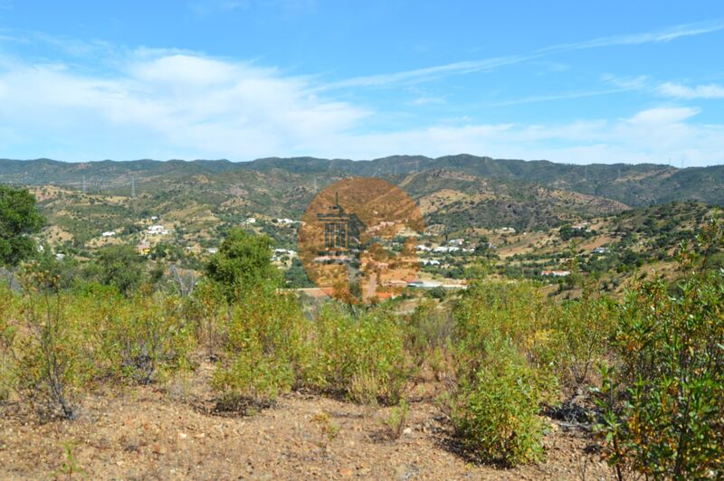 Land Agricultural with 18990sqm Pocilgais Santa Catarina da Fonte do Bispo Tavira - water, olive trees, well, cork oaks