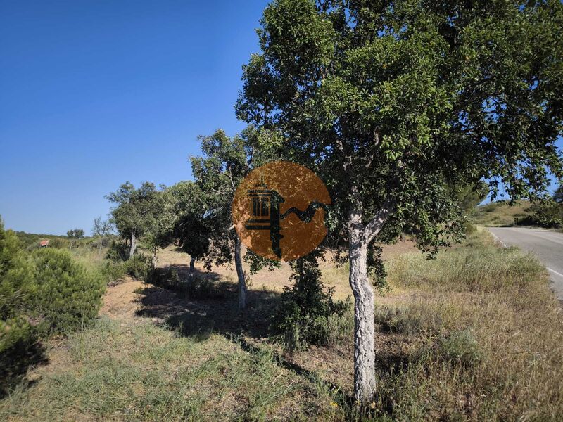 Land new with 62180sqm Corte do Gago Azinhal Castro Marim - well, water, cork oaks, olive trees