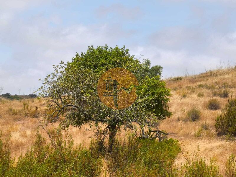 Land nuevo with 41760sqm Pisa Barro de Cima Castro Marim - easy access, water