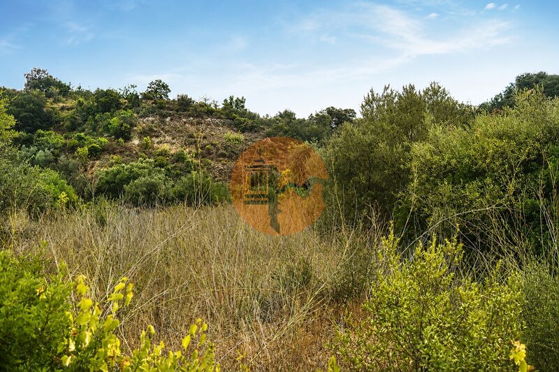 Terrain Rustique with 3170sqm Santa Catarina da Fonte do Bispo Tavira - arbres fruitiers, oliviers, chênes-liège