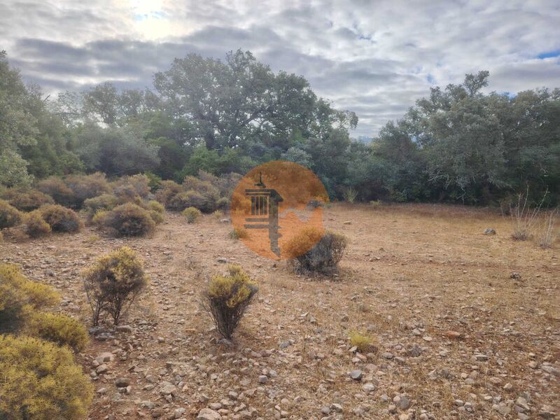 Terreno Rústico com 11943m2 Estói Faro - electricidade