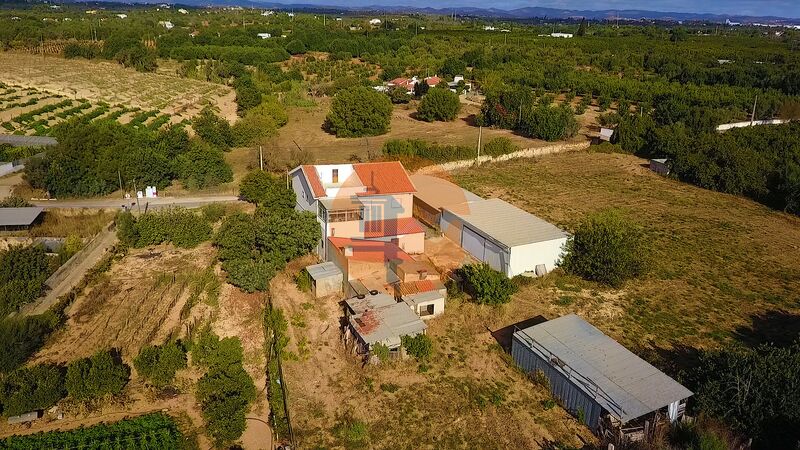 Quinta V3 Tavira - furo, sótão, água, terraço