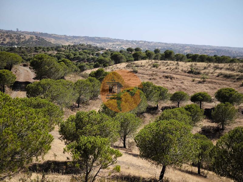 Land Rural Fonte Judeu Morto Castro Marim - sea view