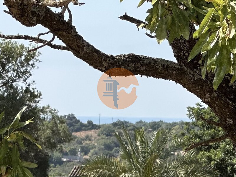 Land with 5368sqm Alecrineira Quelfes Olhão - olive trees