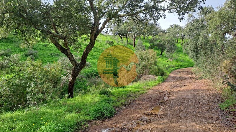 Land Agricultural with 19990sqm Santa Catarina da Fonte do Bispo Tavira - water