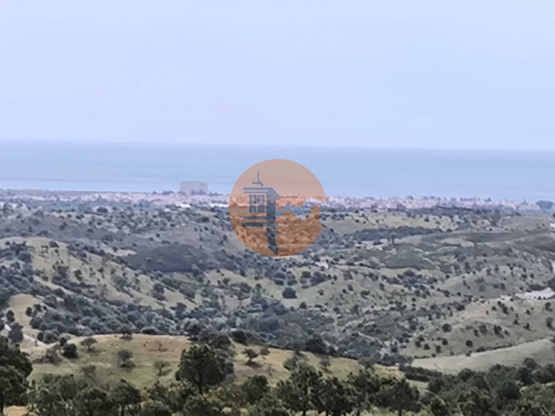 -215851016_ID5614af01-0000-0500-0000-0000193dd1af.jpg
