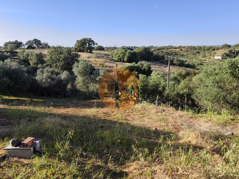 -215973690_IDcb10c901-0000-0500-0000-000019961fe1.jpg