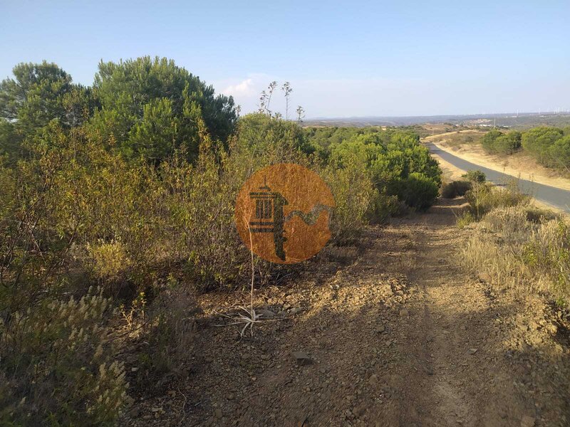Terreno Rústico with 34200sqm Choça Queimada Odeleite Castro Marim - buenos accesos
