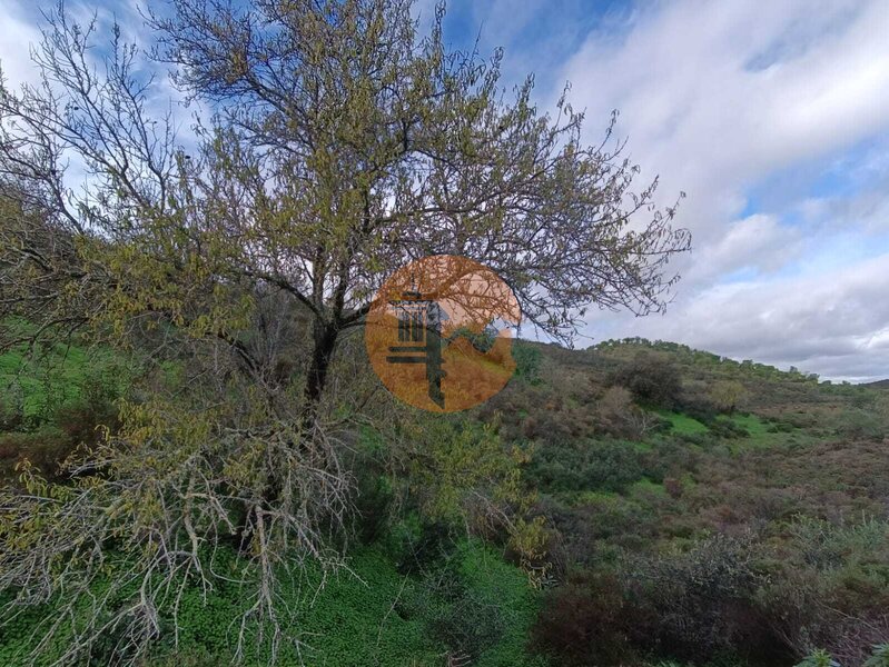 Terreno Rural Botelhas Castro Marim - bons acessos