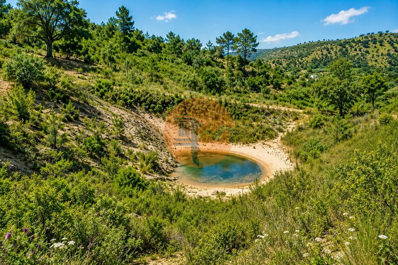 Terrain Rustique with 19597sqm Santa Catarina da Fonte do Bispo Tavira - accès facile, eau