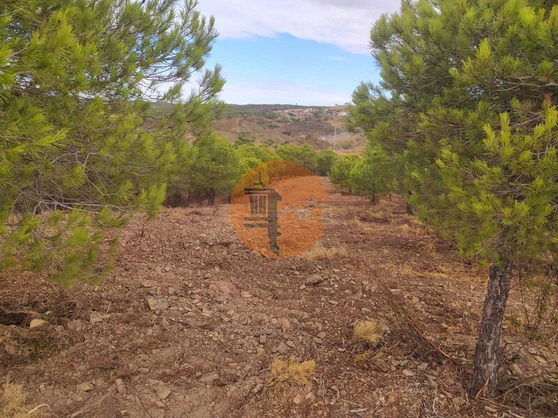 Terreno Rústico com 2926m2 Piçarral Azinhal Castro Marim
