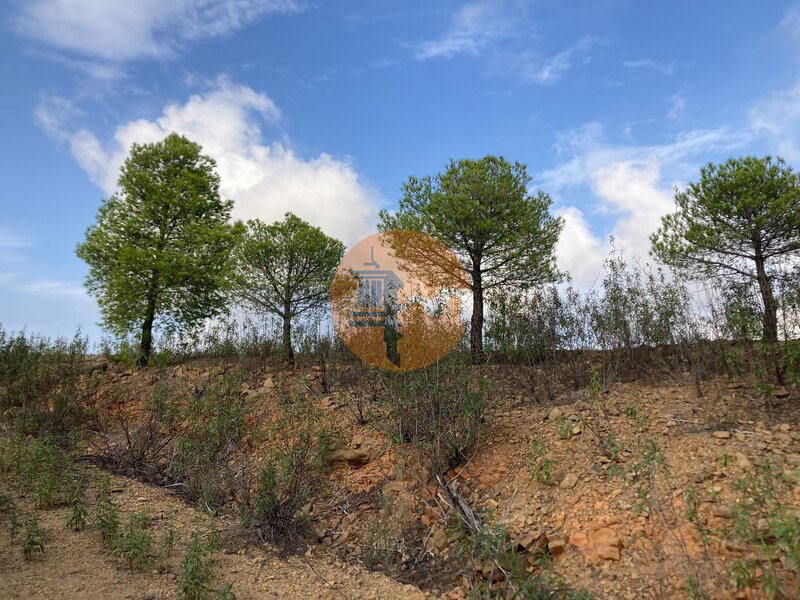 Terreno novo com 67520m2 Corujos Azinhal Castro Marim - água, bons acessos