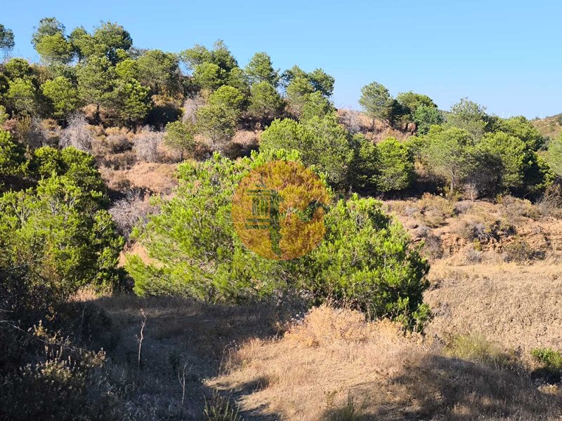 Terreno novo Piçarral Azinhal Castro Marim